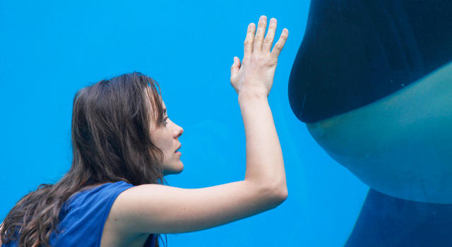 マリオン・コティヤール主演『君と歩く世界』が“水族館”とのタイアップ決定！ 画像