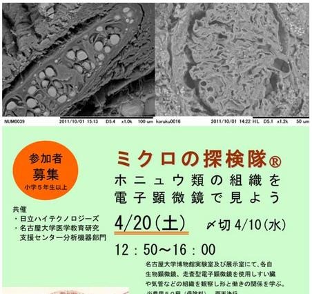 「ミクロの探検隊」参加者募集中　4月20日開催 画像