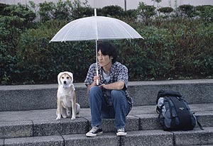 ShowTime、GW映画「犬と歩けば‐チロリとタムラ」のBB試写会を開催〜〆切は4/16 画像