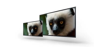 ソニー、56型＆30型の4K有機ELモニタを「NAB 2013」で技術展示 画像