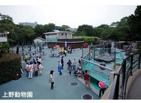 上野動物園など4園、障害をもつ子どもとその家族を閉園後に招待 6月8日 画像