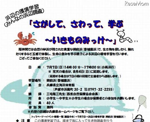 親子で浜辺の生き物に触れる環境学習　7月7、21日 画像