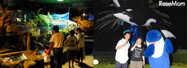 【夏休み】夜の水族館を探検する「ナイトアドベンチャー」 画像