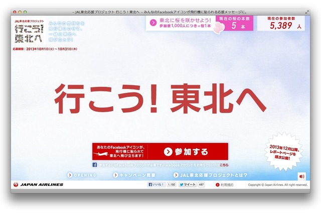 あなたのFacebookアイコンが飛ぶ…JAL「行こう！ 東北へ」特別塗装機 画像