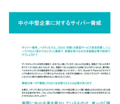 中小・中堅企業へのサイバー脅威は「単一」ではない 画像