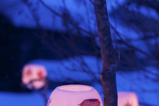 14万本のキャンドルが灯る幻想的な世界……「小樽雪あかりの路」が明日開幕 画像