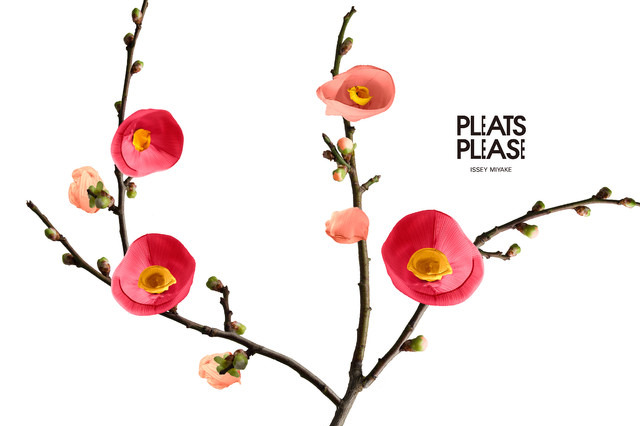 「服で花を生む」佐藤卓によるプリーツプリーズイッセイミヤケ新ビジュアル 画像