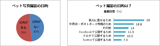 他人のペット写真、見せられるのは迷惑!? 画像