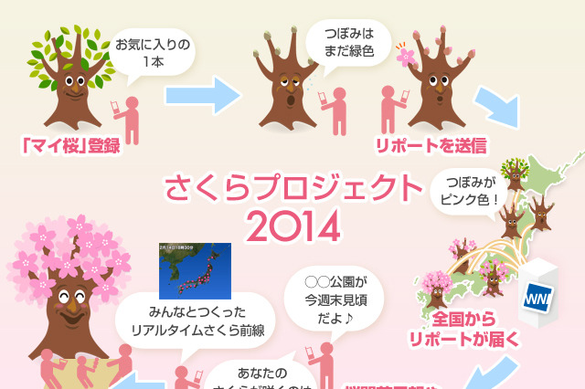 “満開”だけじゃない桜の魅力……生長を観察する「さくらプロジェクト2014」 画像