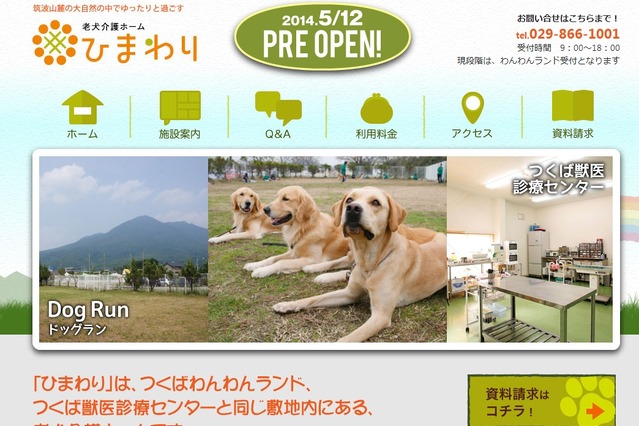 老犬介護ホーム「ひまわり」オープン……日本初の大規模ホーム 画像