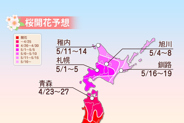【GW】東北や北海道で桜の開花シーズンへ 画像