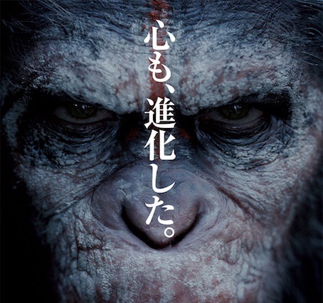 進化したシーザーが決意の表情……『猿の惑星：新世紀（ライジング）』 画像