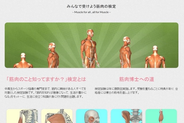 “筋肉検定”をWeb上で実施 画像