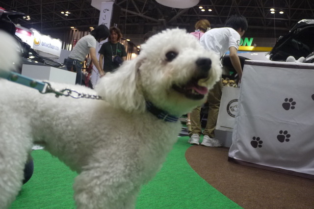 【Interpets 2014 Vol.24】ペットを連れてInterpetsに行ってみた 画像