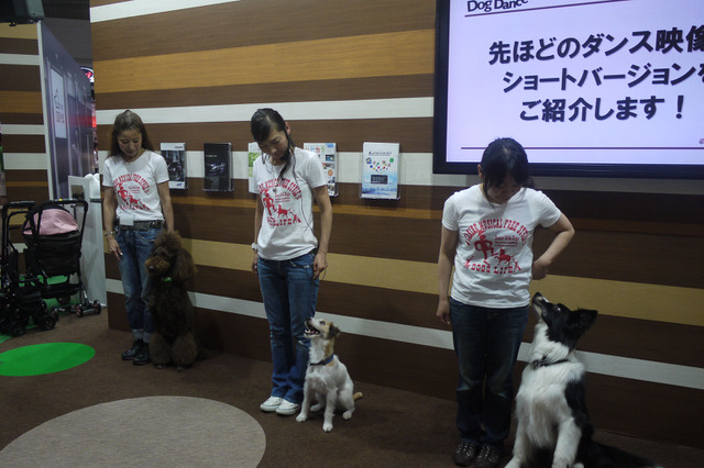 【Interpets 2014 Vol.29(動画)】踊りながらしつけの基礎を!トヨタ、Dog Danceを披露 画像