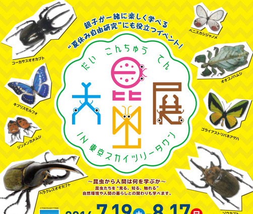 【夏休み】東京スカイツリータウン「大昆虫展」開催中 画像