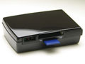 テレビ番組/ビデオ映像を2.5インチHDD＆メモリーカードに録画できる！　エバーグリーン、アナログチューナー内蔵MPEG-4レコーダー 画像