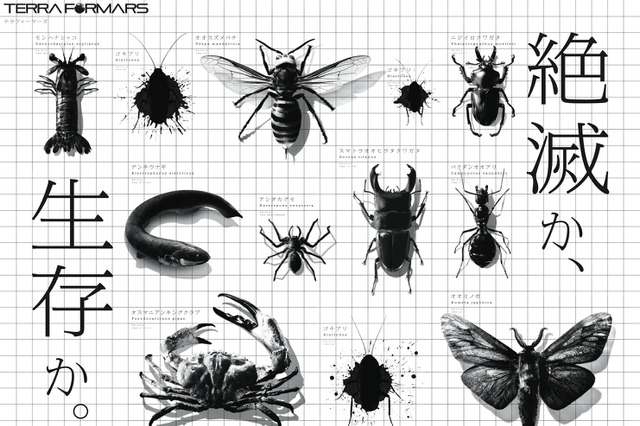 リアルな生物図鑑広告が渋谷駅をジャック 画像