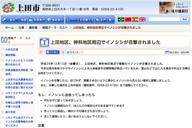 長野県上田市でイノシシが店舗に突入！　市が注意喚起を呼びかけ 画像