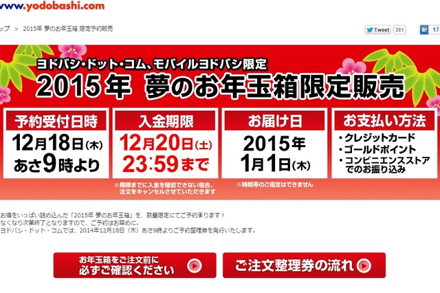 ヨドバシカメラ恒例の福袋、iPad入りで3万円……18日予約開始 画像