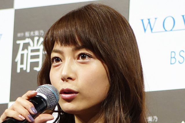 【フォトレポート】相武紗季、不倫愛の境地へ…官能ミステリー「ガラスの葦」試写会 画像