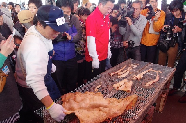 ダイオウイカを食べた！……しみじみ噛み締める味 画像