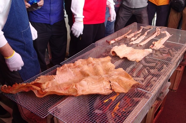 【フォトレポート】編集部員がダイオウイカ試食会に参加！ 画像