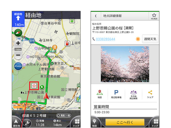 スマホアプリ「カーナビタイム」、桜の開花状況をリアルタイム提供 画像