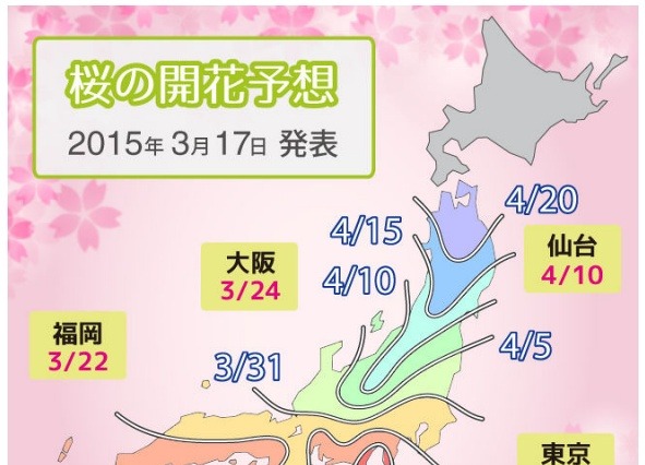 桜の開花、東京は3月26日、大阪は3月24日に 画像