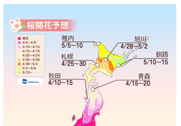 桜前線が東北に、北陸西部は今週末がお花見ラストチャンス 画像