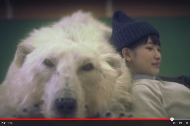 シロクマと触れ合い癒される　新しいリフレッシュのカタチ 画像