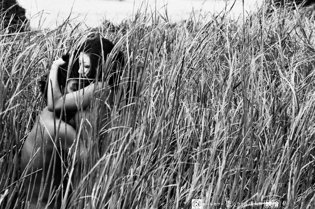 日活ロマンポルノ、45周年にあわせリブートプロジェクトを始動　 画像