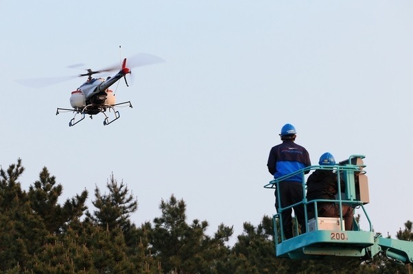 松くい虫防除で効果……空中散布 画像