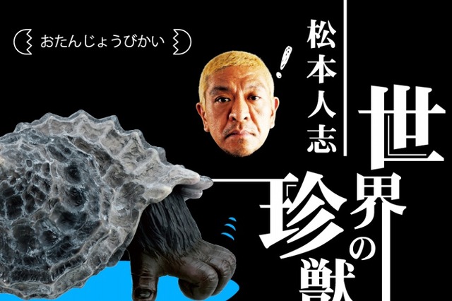 ガチャ「松本人志 世界の珍獣 第1弾」、リニューアルでAR技術を採用 画像