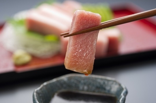 大間マグロのクラウドファンディング、人気で目標額を300万円に引き上げ 画像