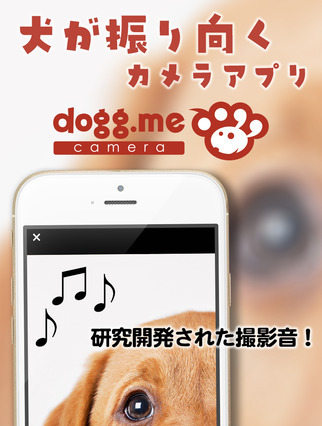 迷子犬を探せる顔認証機能……愛犬をカメラ目線で撮影できるアプリ「dogg.meカメラ」に追加 画像