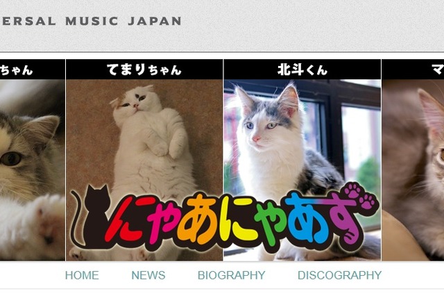 あなたの愛猫が歌手デビュー!?　猫の音楽ユニット・にゃあにゃあずが始動 画像