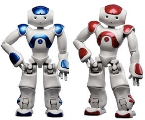 仏製の人型ロボット「NAO」、法人向けにレンタル開始 画像