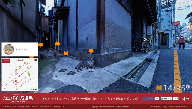 国内外で話題！猫目線で街めぐる広島キャットストリートビュー 画像