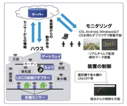 【次世代農業EXPO】農業ビジネスにIoT活用！農作物の自動育成目指す 画像