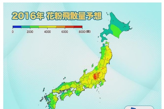 2016年春の花粉、飛散量は全国的に少なめ……関東は5割減に 画像