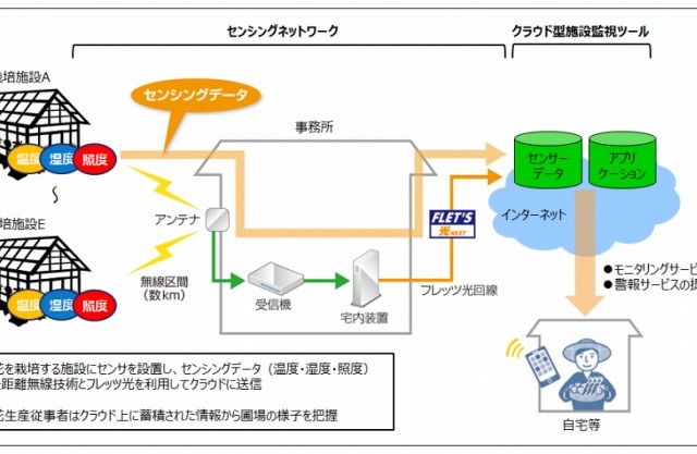新潟でチューリップの切花栽培にICT活用！環境分析を自動化 画像
