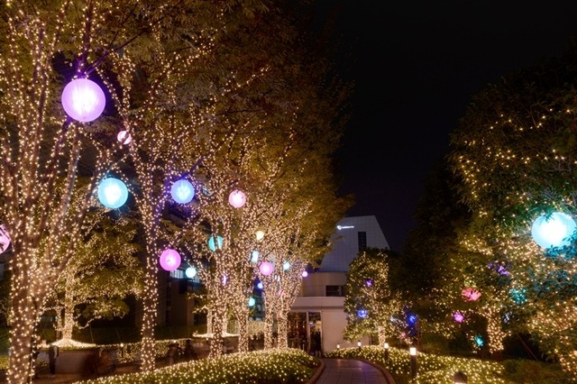カラフルなイルミが新宿の街を包む！ 11月11日から 画像