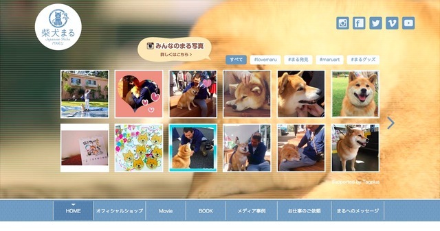 人気の柴犬まる、三重県の観光大使に！ 画像