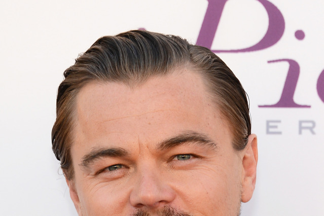 「アカデミー賞」候補にジブリ作品！最多はディカプリオ主演作 画像