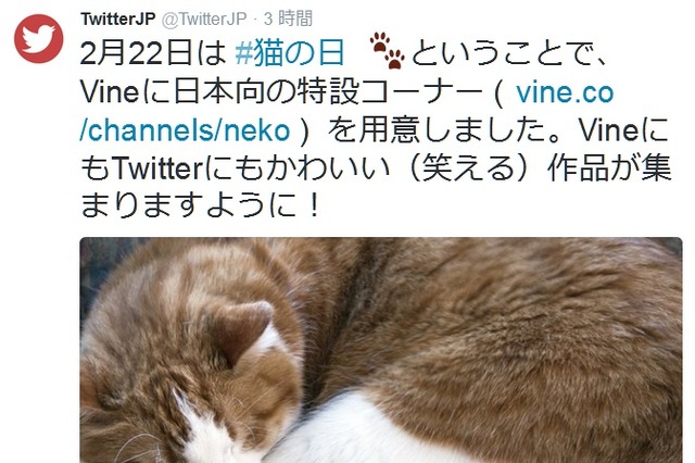 2月22日は「猫の日」……Amazonがショップ開設、Vineは特設コーナー 画像
