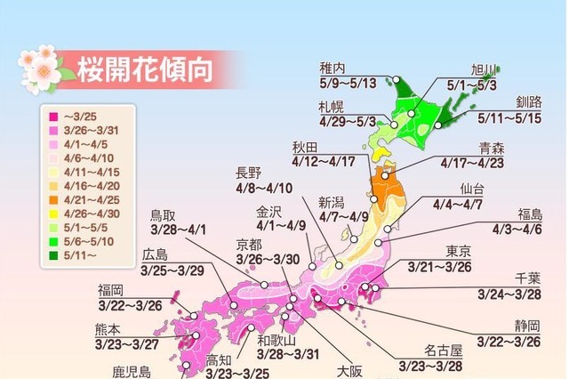 桜の開花予想、東京が全国に先駆けて開花 画像