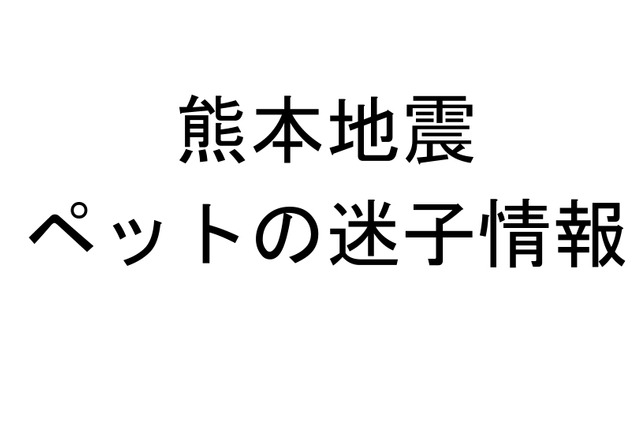 「見つけたら連絡お願い！」熊本地震で迷子のペット多数 画像