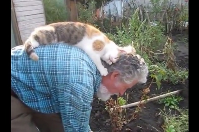 【動画】庭仕事のお爺さんの背中で毛づくろい！ 画像
