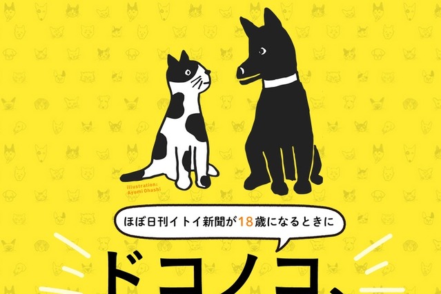 糸井重里「ほぼ日」初のアプリは、犬猫写真の収集アプリ「ドコノコ」 画像